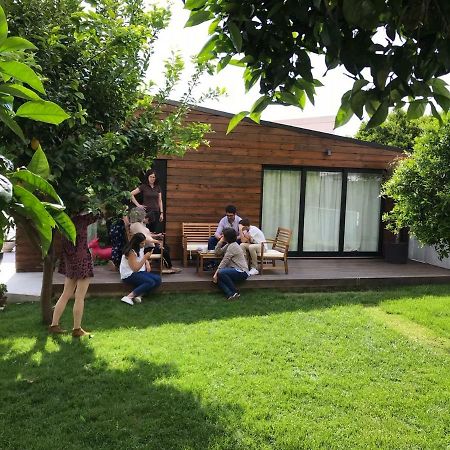 Casa Do Muro Coimbra Eksteriør bilde